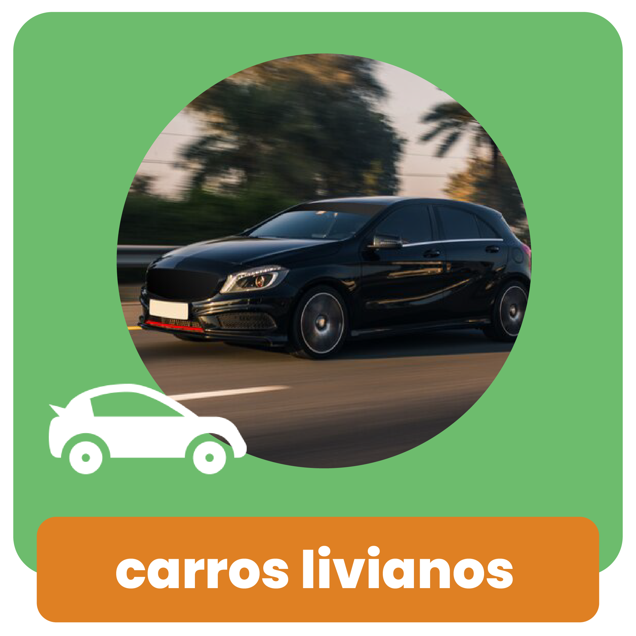 Carros Livianos